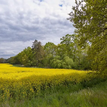 Alte Dorfschule Appartamento *