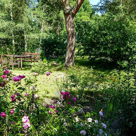 Alte Dorfschule * Lussow (Gutzkow)